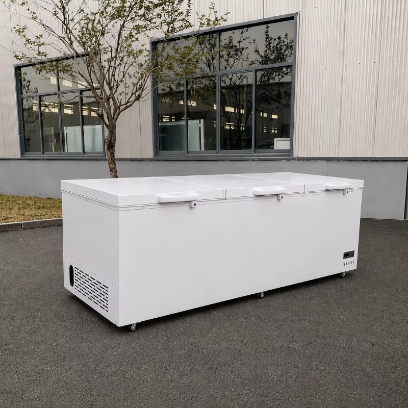 Stainless Steel Material Super - đánh giá và giá Commercial Chest Freezer