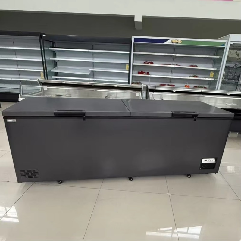 Commercial Double Door Horizon - đánh giá và giá Commercial Chest Freezer