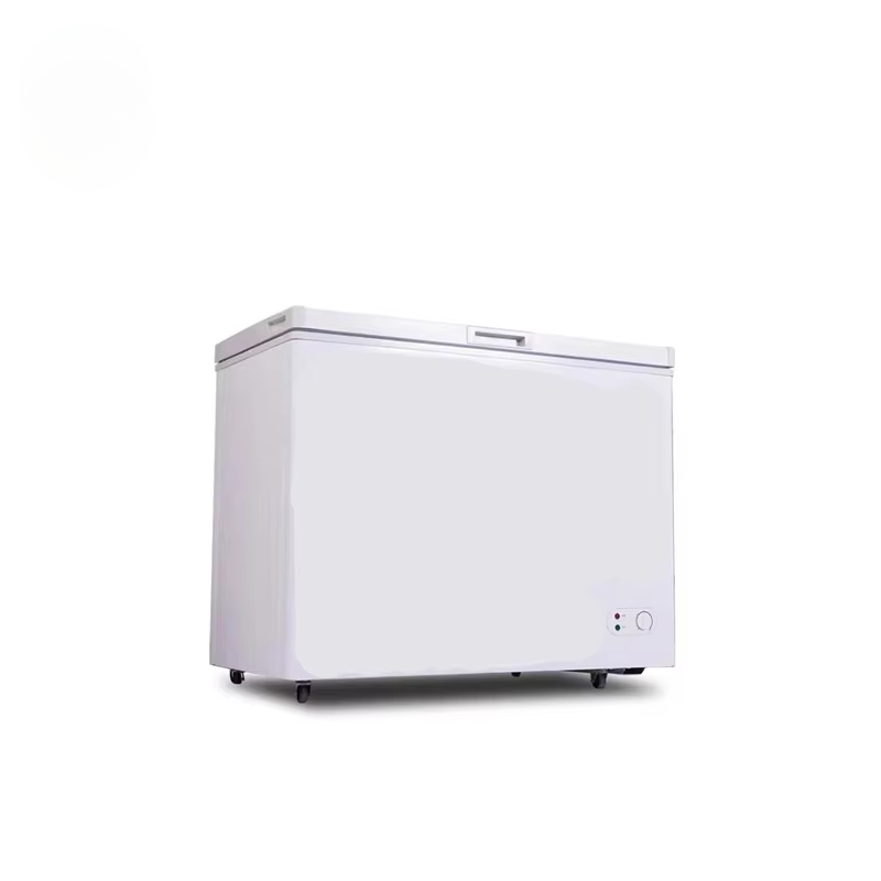 100~300 Liters Small Capacity  - đánh giá và giá Commercial Chest Freezer